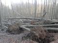 Z Hubálovej na Čermák 20.12.2014